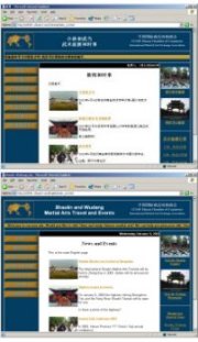Dual Language Web Site Design (Chinese and English)