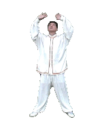 3. (Palms) Supporting Heaven Lead Breath