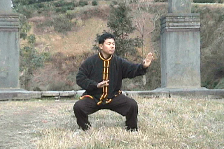 Prof. Liu At Wudangshan, Qigong Practice, 1999, Lu