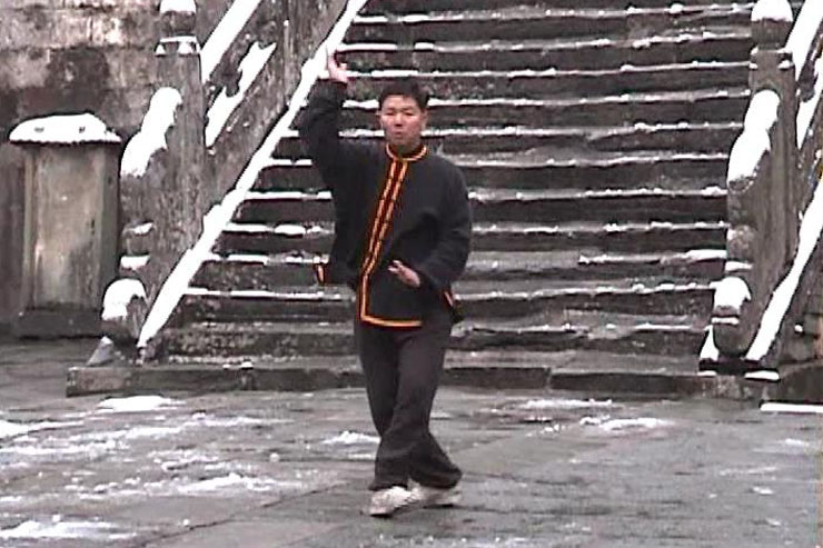 Prof. Liu At Purple Heaven Hall, December 1999, Taiyi