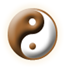 Wudang Research Association logo