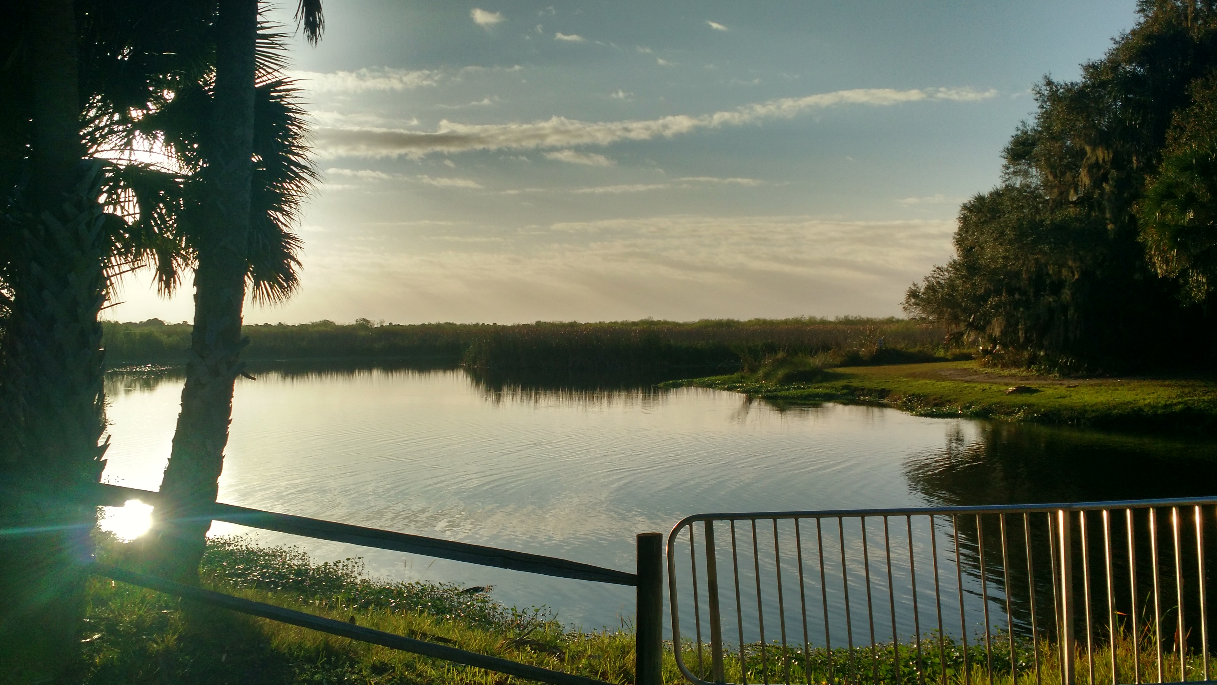 Calm Waters In The Early Morning