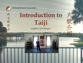 Introduction To Taiji