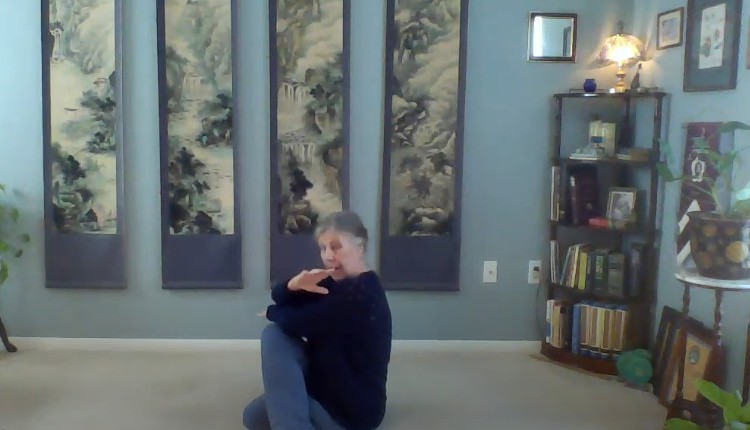 Wudang Qigong Advanced March 17, 2023