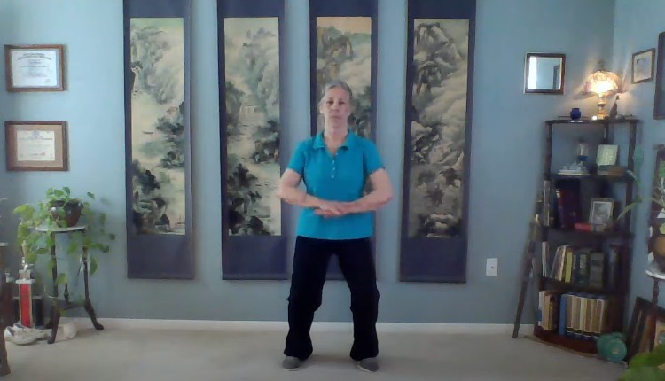 Wudang Qigong Foundation Sets