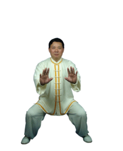 Prof. Liu showing Wudang Qigong 02 Push Mountain