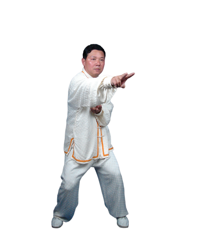 Prof. Liu showing Wudang Qigong 16 White Snake